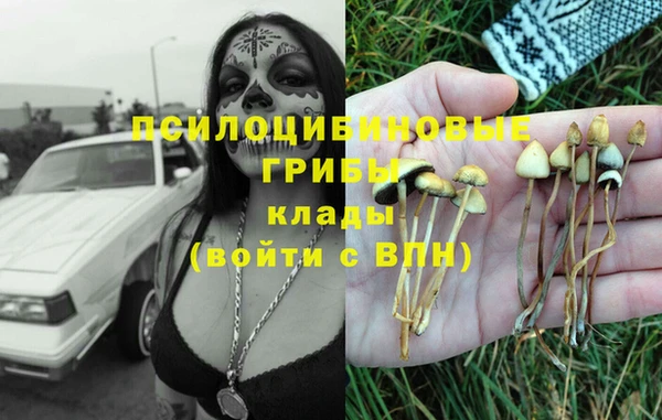 марки nbome Пестово